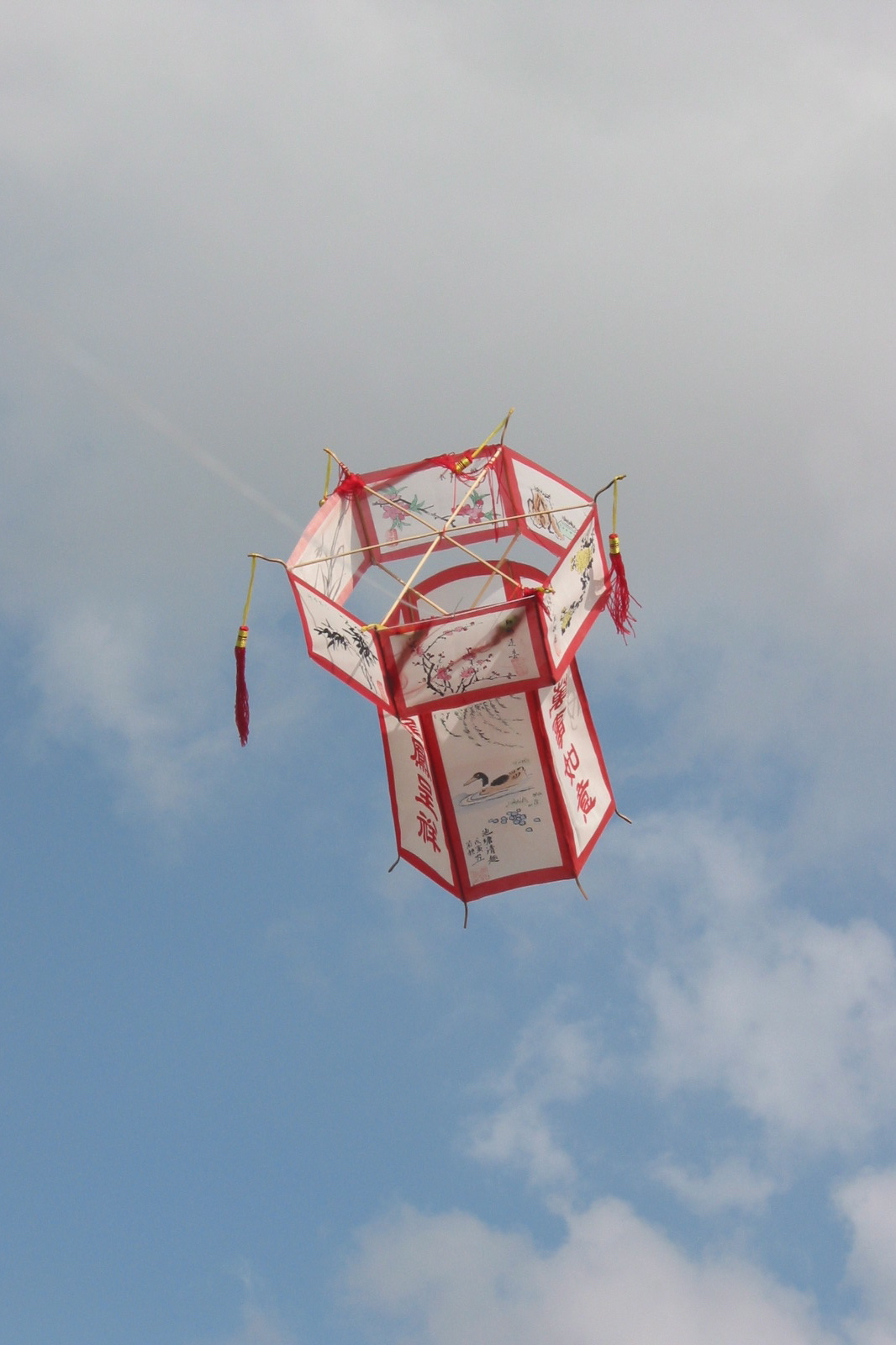 Chinese lantern 